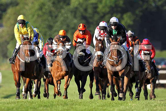 Bumble Beet (3rd from right) in the Lead - 2nd Jockey R T Dunne - FT8E1109-e