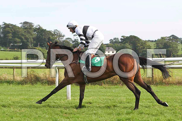 Molly Platts 8th, Jockey Mr M P Fogarty - FT8E3142-e