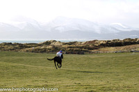 04 Oneforthenure (15) & G Quinn - DQ Trainer : Graham McKeever, Red and white qtrd, blue cap