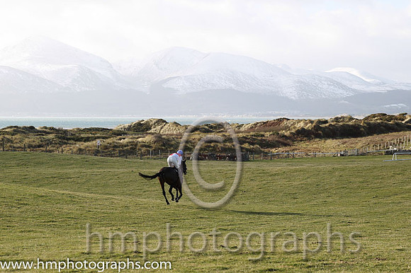 04 Oneforthenure (15) & G Quinn - DQ Trainer : Graham McKeever, Red and white qtrd, blue cap