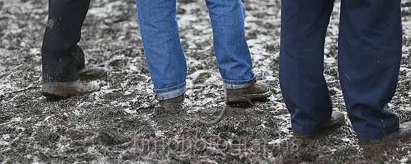 Mud at Iveagh Foxhounds Point to Point at Maralin