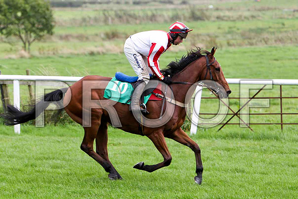 Must Leave , Jockey A E Lynch - 10th - CU2D2338-e