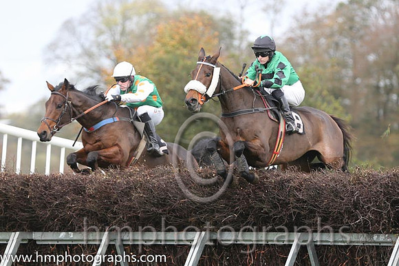 01 Mr Mountain and B O'Neill - - 01st (2 ,emerald green, orange spots ) Trainer - Donnchadh Doyle  04 Vicsaflia and Miss R Blackmore - - 04th (8 ,emerald green, black hollow box ) Trainer - Dermot McL