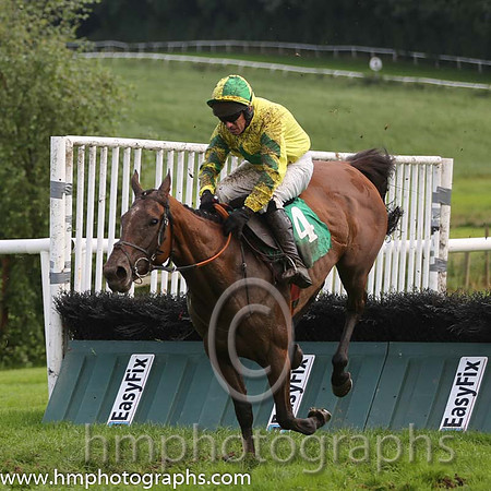 01 I C Gold & P Carberry - winners (4, yellow, green star) - AA1V0924-3