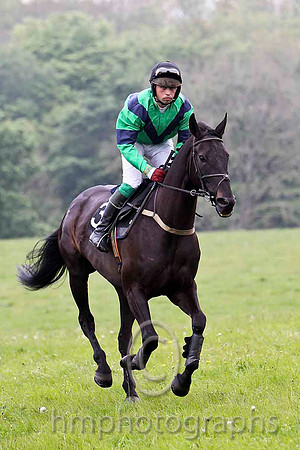 Teluel , 8th, Jockey J A Jenkins - FT8E2794-e