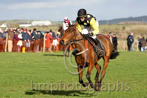 Honey Vic & G B Watters - 5th (1, royal blue, black hoop) - FT8E9509-e