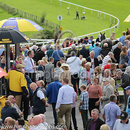 Ladies Day at Downpatrick