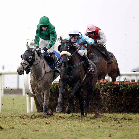 Garryowen Star (Light blue with white stars) Winner, Jockey D J Casey - CU2D3229-e