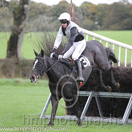 10 Ballycamp & Derek O'Connor - PU (3, black and white qtrd) - FT8E9406-58