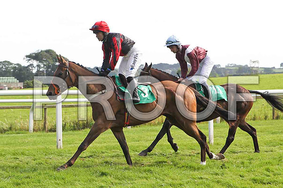 Henro Boy, Winner Jockey Ms K Walsh & Sainte Careigne 3rd Jockey Mr P W Mullins - FT8E3143-e