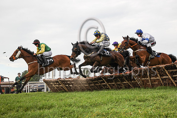01st Zagnzig and A E Lynch ( 14 , yellow and blue check ) Trainer - H Smyth , Owner - H Smyth