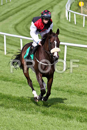 Garamor Boy 4th, Jockey M W Bowes - CU2D1765-e