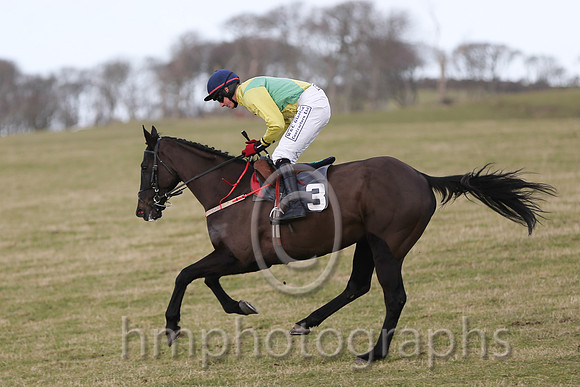 01 Mr Bolt  D H Lavery - Trainer : Sean McParlan, Black and tan check