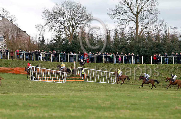 Mr Homer in the lead - FT8E0005-e2