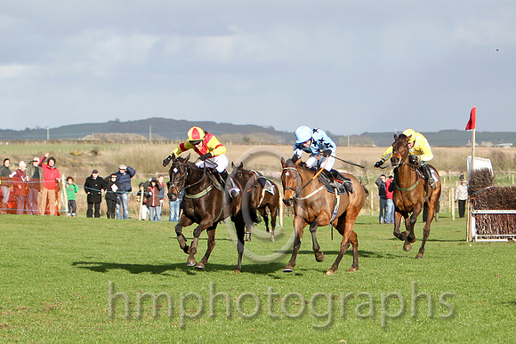 Paddys Angel & Ms K Ferris - joint winner (12, yellow, red cross belts) & Curnalee Coleen & J P McKeown - joint winner (4, light blue, navy stars) -FT8E9484-e2a