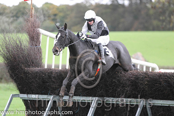 10 Ballycamp & Derek O'Connor - PU (3, black and white qtrd) - FT8E9404-56