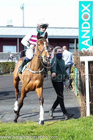 02nd Gelee Blanche and P Townend ( 7 , white  and maroon hoops ) Trainer - W P Mullins , Owner - Tiger Tail Again Syndicate