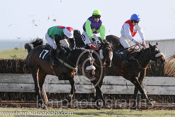 05 The Sophster (17)  N McParlan - Trainer : Ben Arthey, Green, red diamond