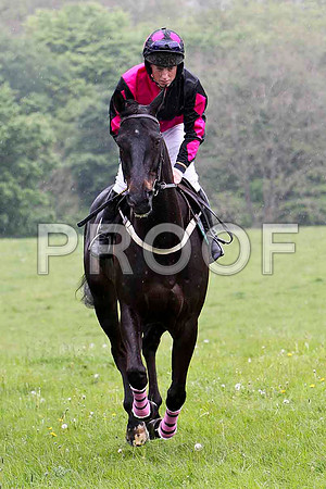 Dynamic Brook , PU, Jockey P J Cosgrove - FT8E2698-e