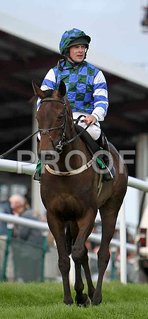 Marvelle Lady 5th, Jockey Mr S Crawford - CU2D1838-e
