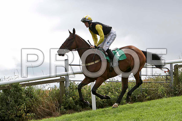 Mountain Heather - 8th, Jockey Andrew J McNamara  - FT8E3873-e