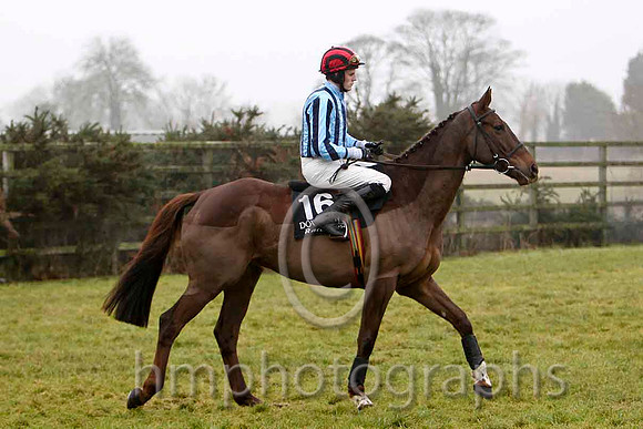 Tix All The Boxes - Jockey S J Hasselt - 14th - CU2D1801-e