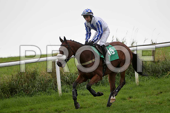 Symphonist , Jockey A P Thornton - PU - CU2D2288-e