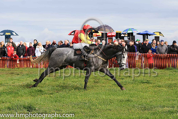 CHARIOT WARRIOR and G S Quinn ( 16 , RED,yellow panel; yellow sleeves; red cap,yellow star ) Trainer: Robert Brown Kerr,, Owner : James Brown Kerr