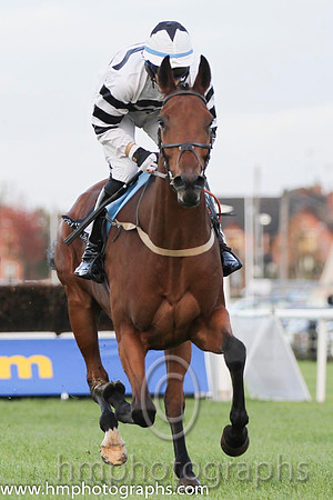 01 Decade Player & E J O'Connell - winner (8, white and black hoops ) - FT8E0158-16