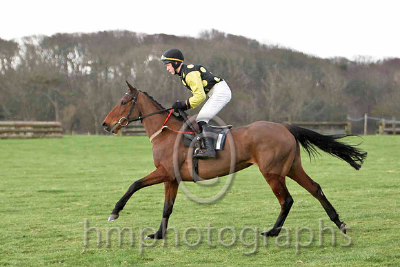 Honey Vic & G B Watters - 5th (1, royal blue, black hoop) - FT8E9451-e