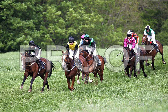 Fourth Race - High Chief (8) PU - in the lead, Rider Ms P O'Neill- FT8E0354-e