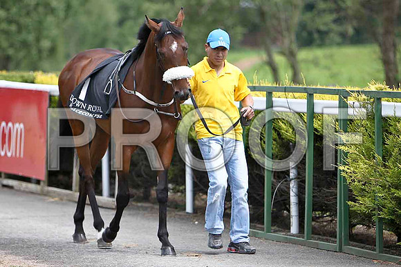 Barry Crockett 3rd - CU2D0421-e