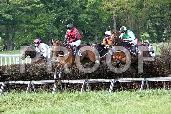 Race 6 Div 2 - Been a Long Time (2) 6th, Rider B F Brabazon, Gregg Boy (12) 2nd, Rider J Cresswell, Supitinye (27) 3rd, Rider J P McKeown & Glyring Feather (10) winner, Rider M J O'Hare - CU2D9807-e
