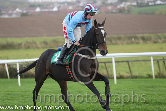 01 Ultra Light and A E Lynch - - 01st (2 ,Light blue and maroon hoops ) Trainer - R Hennessy