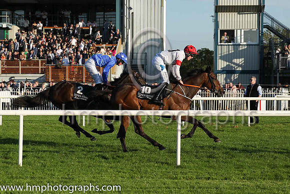 05th Cash The Cheque and J. Dunne(7) (2 ,blue, yellow star ), Trainer:Anthony McCann , Owner:Anynamewilldo Syndicate