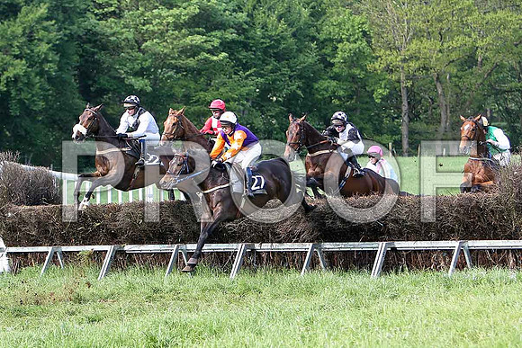 Race 6 Div 2 - Herider J J Gault, Belmont HHeights PU, Rider D A Jenkins, Supitinye 3rd, Rider P W bartlett, Damasko 5th, Rider G B Walters, Been a Long Time 6th, Rider B F Brabazon & Gly - CU2D9799-e