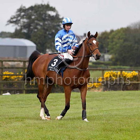 Abaltor (3, royal blue and light blue chevrons) & D N Russell - 8th - FT8E2627-e