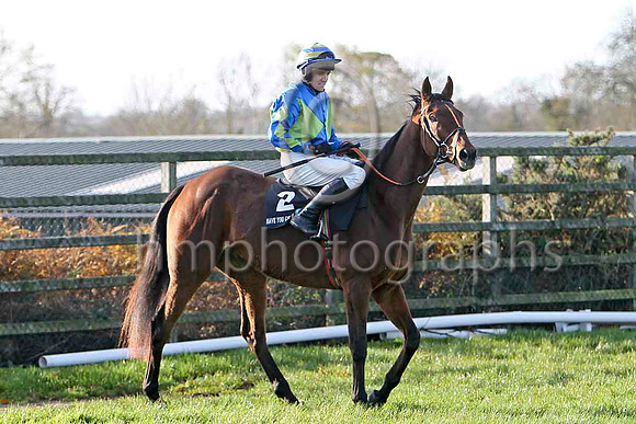 The Real Article , Winner Jockey B J Geraghty  - FT8E6511-e