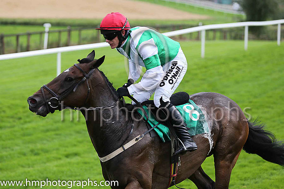 08th Tetraites and P Townend ( 8 , emerald green, white chevron ) Trainer - Ross O?Sullivan , Owner - Mrs M Gittins