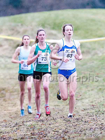 IMG_7135-e53a4j