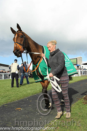 Tammys Hill - winner of the CGA Foxhunter Chase at Cheltenham - CU2D1202-8