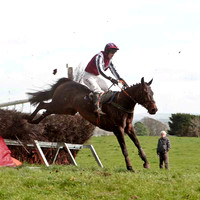 Super Day , Winner, Jockey - J J Codd -CU2D4588-e