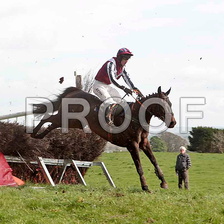Super Day , Winner, Jockey - J J Codd -CU2D4588-e