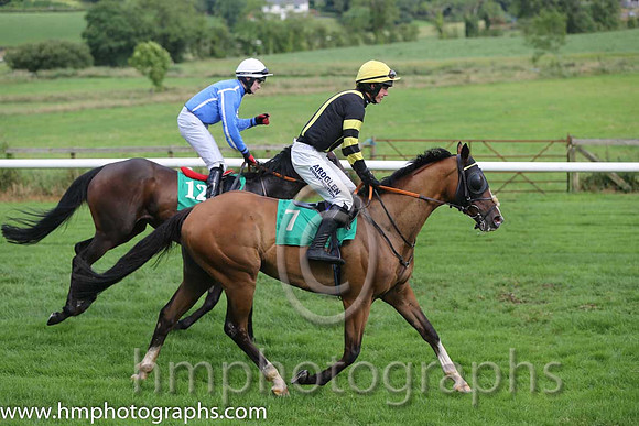 02 Lucky Pigeon & K C Sexton - 2nd (12, blue, white seams)) & 08 Josam & B Hayes - 8th (7, yellow. black panel) - AA1V0887