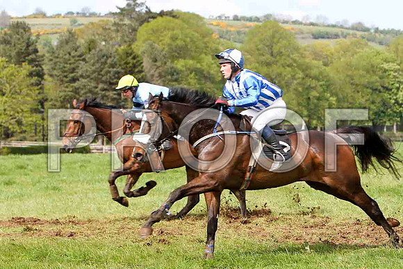 Bear Witness , Winner, Jockey - Derek O'Connor  & Mourne Paddy - Unplaced, Jockey J D Moore - FT8E2065-e