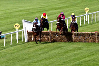 Soldier Bay in the lead , Jockey A E Lynch - 5th - FT8E3803-e
