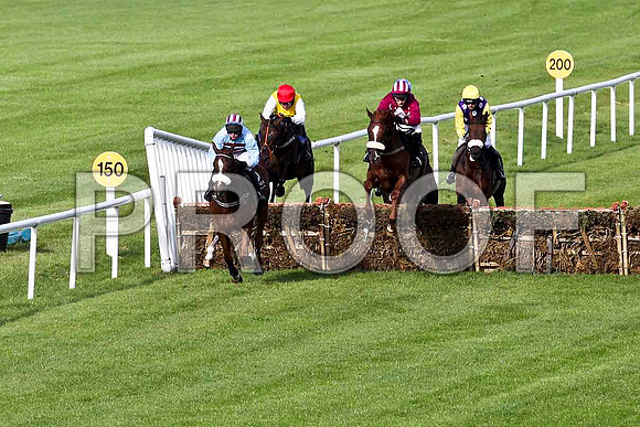 Soldier Bay in the lead , Jockey A E Lynch - 5th - FT8E3803-e