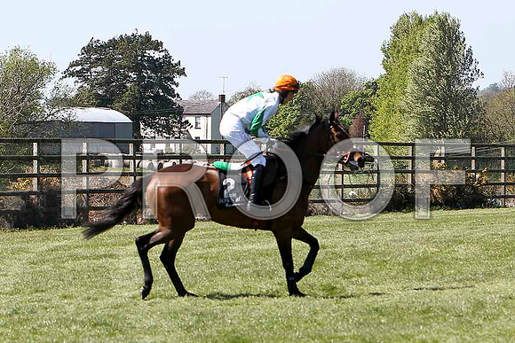 Table Forty Six 3rd, Jockey E J O'Connell - FT8E2115-e