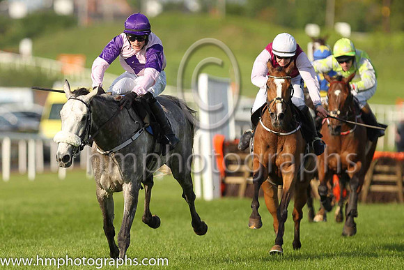 01st The Grey Lad and G.B. Noonan(7) (4 ,pink, purple diamond ), Trainer:Paul W. Flynn , Owner:Claire Kilmartin