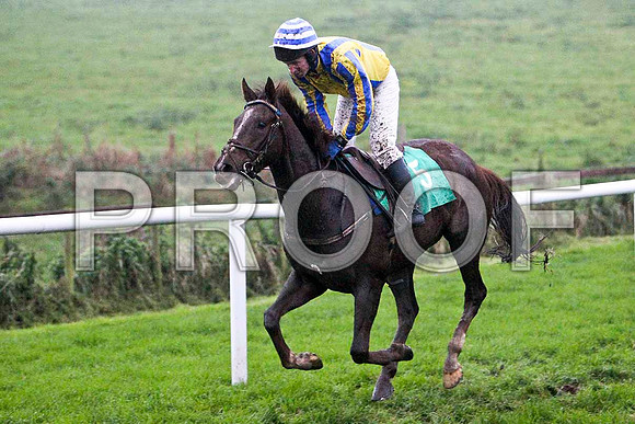 Bee Cee Brown , 10th, Jockey Mr N McParlan -FT8E5591-e